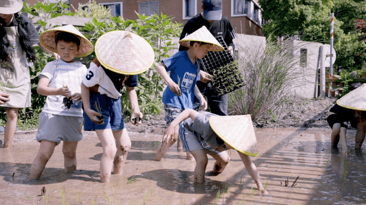 香港KFarm · 高科技农场的绿色奇迹丨中国香港丨陈启豪等-7
