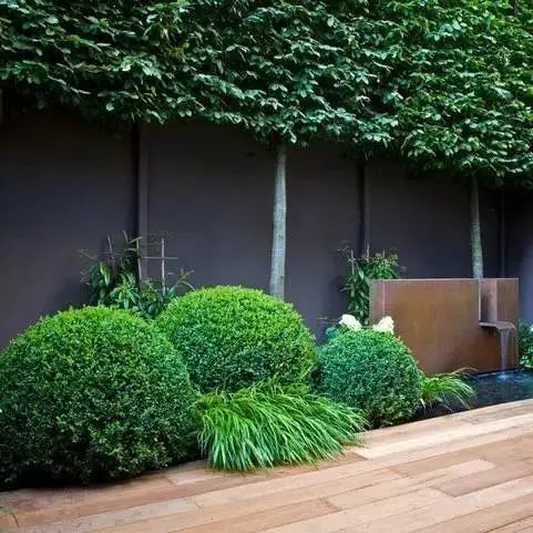 简洁精致的小庭院，拥有一个今生足矣-36