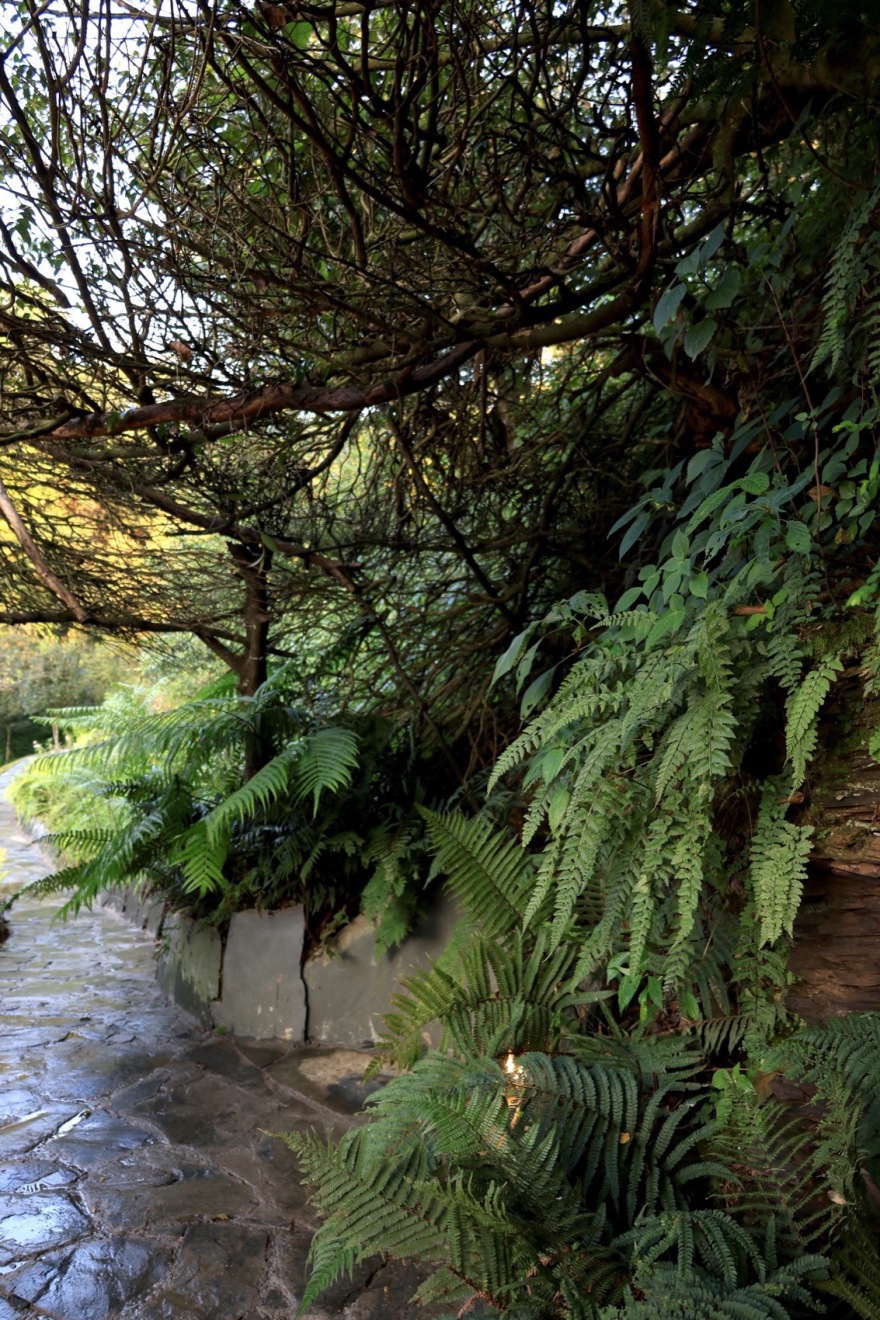 风之茶亭丨中国大理丨孔祥伟工作室-62