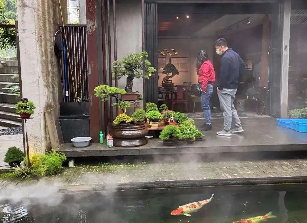 郊区“同居式”养老生活 | 自由、快乐、充实-18