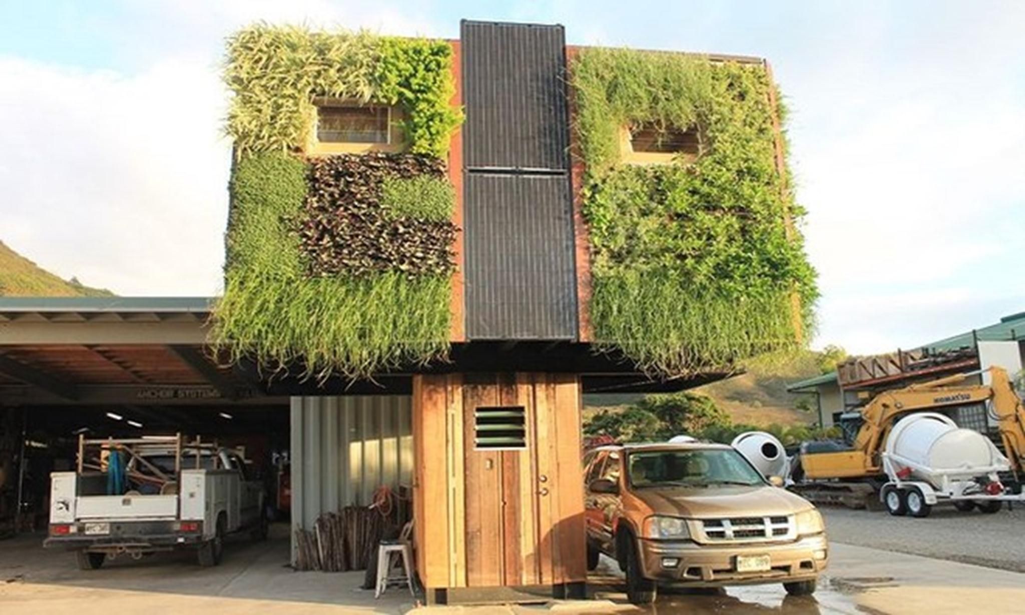 夏威夷创意“树屋”设计，绿意盎然-1