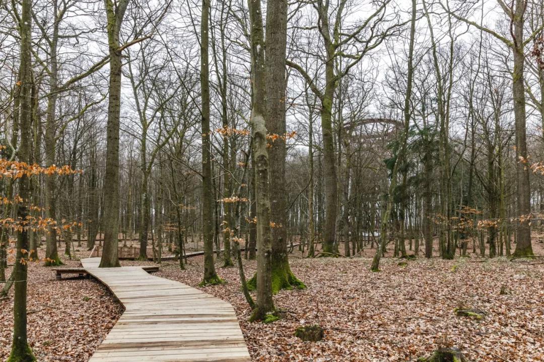 野营探险塔（Camp Adeventure Tower）丨丹麦丨EFFEKT-19