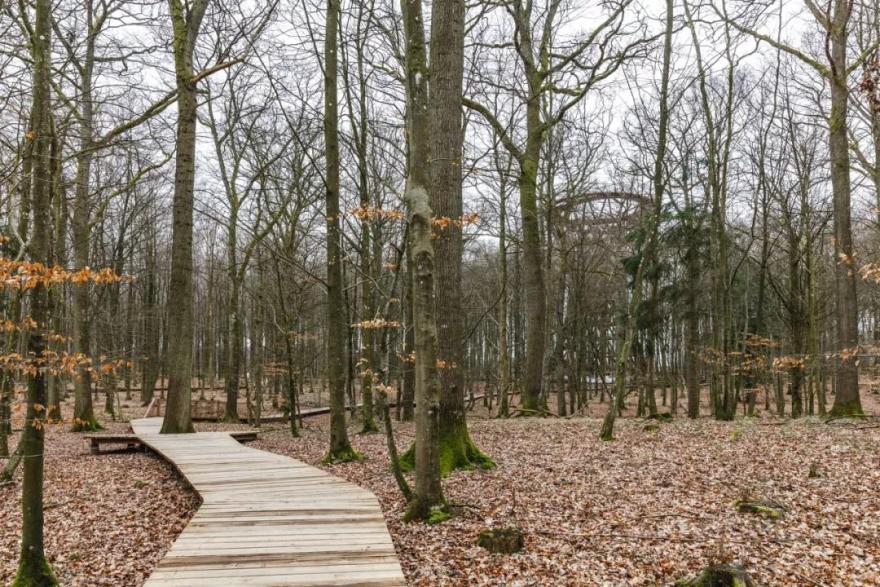 野营探险塔(Camp Adeventure Tower)丨丹麦丨EFFEKT-19