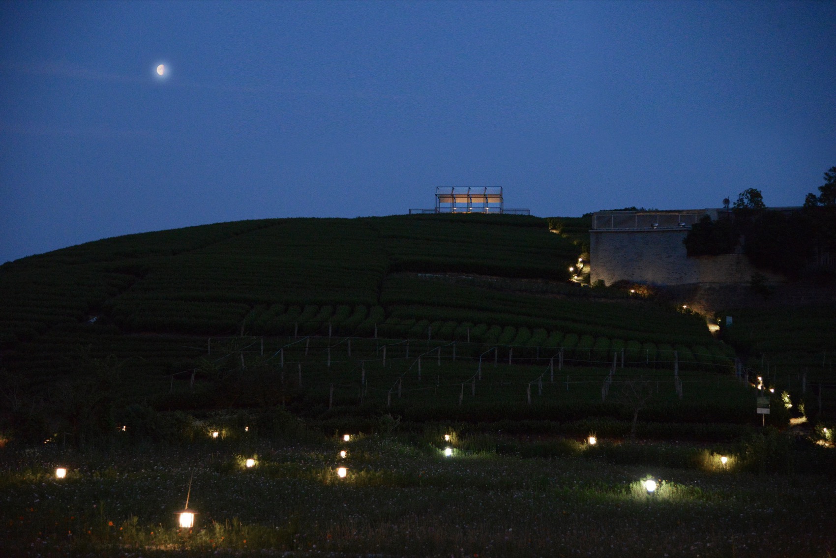 长埭村艺术乡建系列茶山浮亭丨中国杭州丨由牧建筑-59