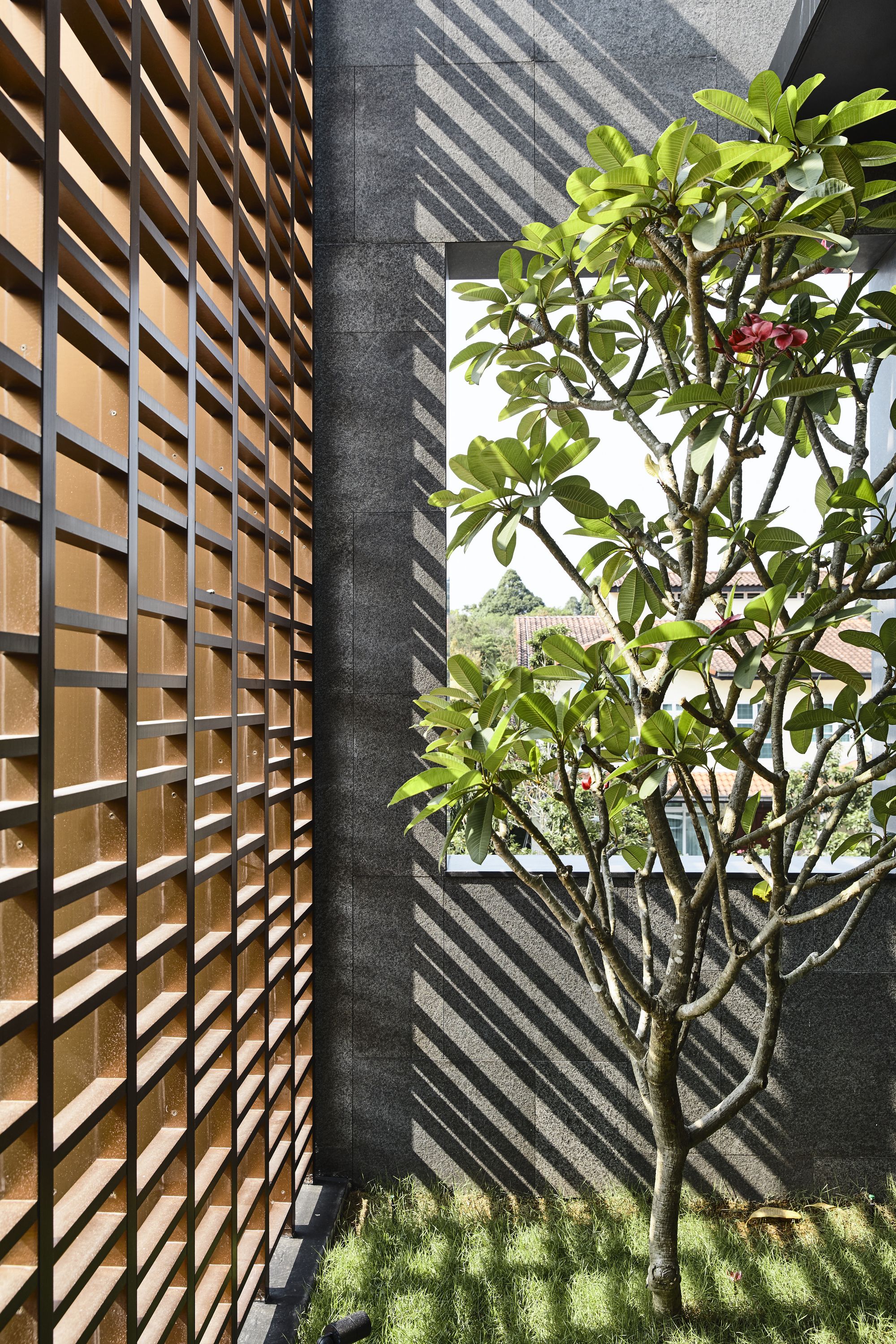 新加坡“Viewing Back”别墅,景观与室内完美融合-25