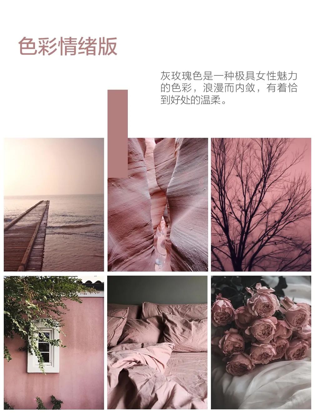 花繁锦盛&枪炮玫瑰丨色咖工作室-14