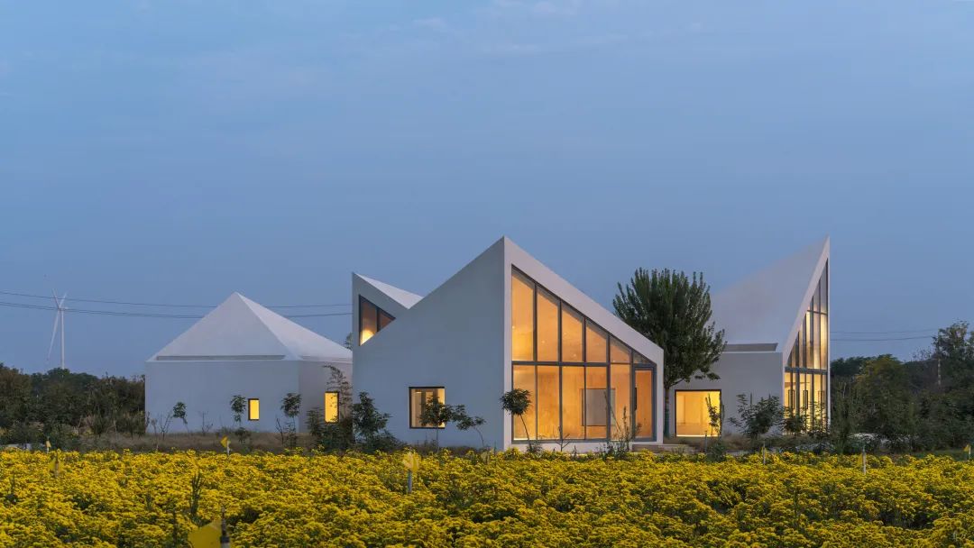 云台山冰菊花田书馆丨中国焦作丨一树建筑工作室-24