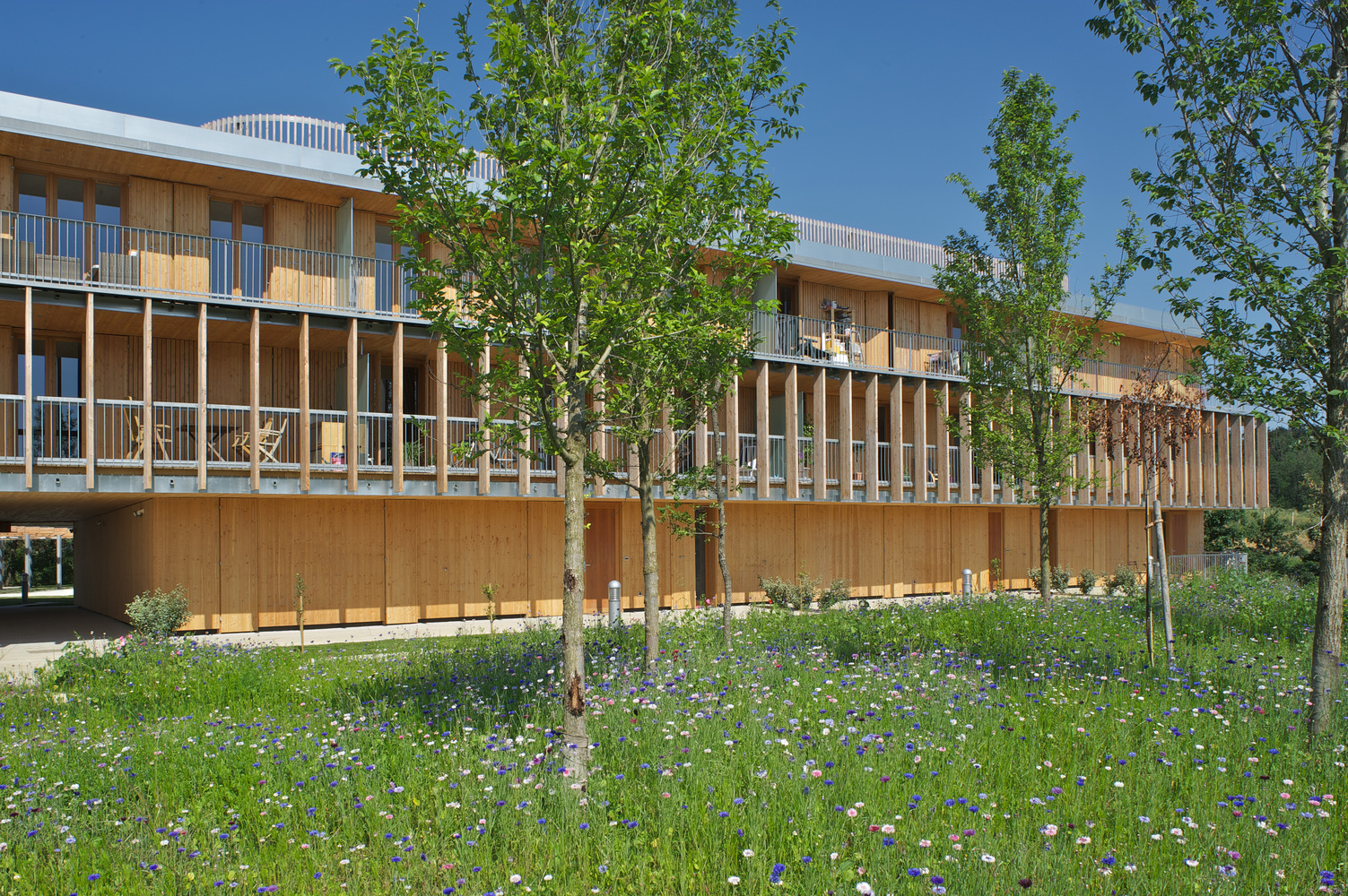 法国欧莱雅感官公寓丨法国图卢兹丨Yves Ballot et Nathalie Franck-14