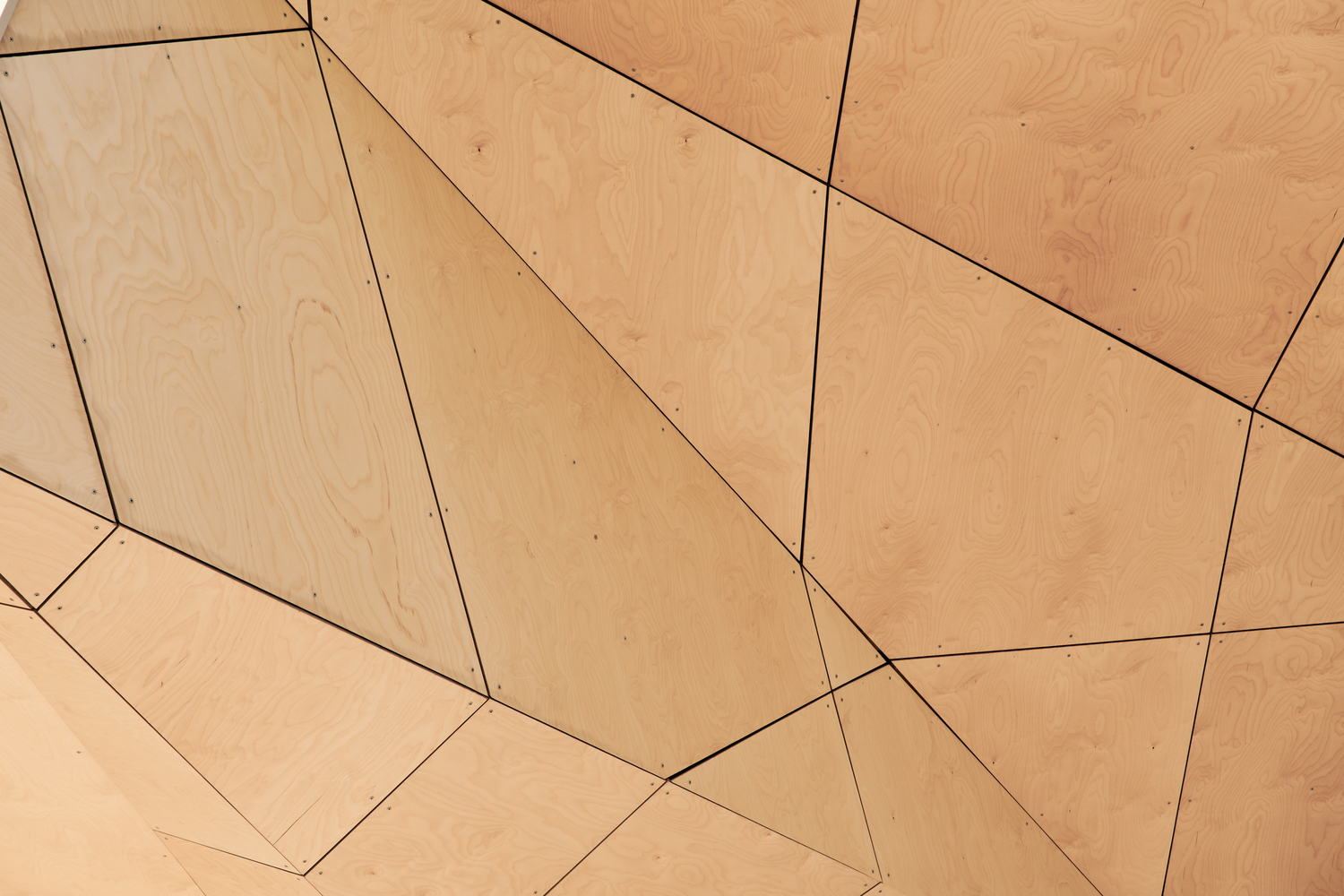 Dendy Park Sporting Pavilion  CohenLeigh Architects-38