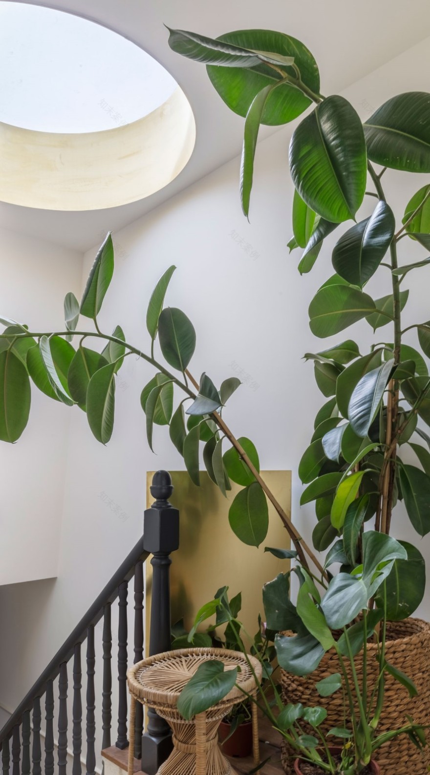 伦敦西部的黄铜房子-11