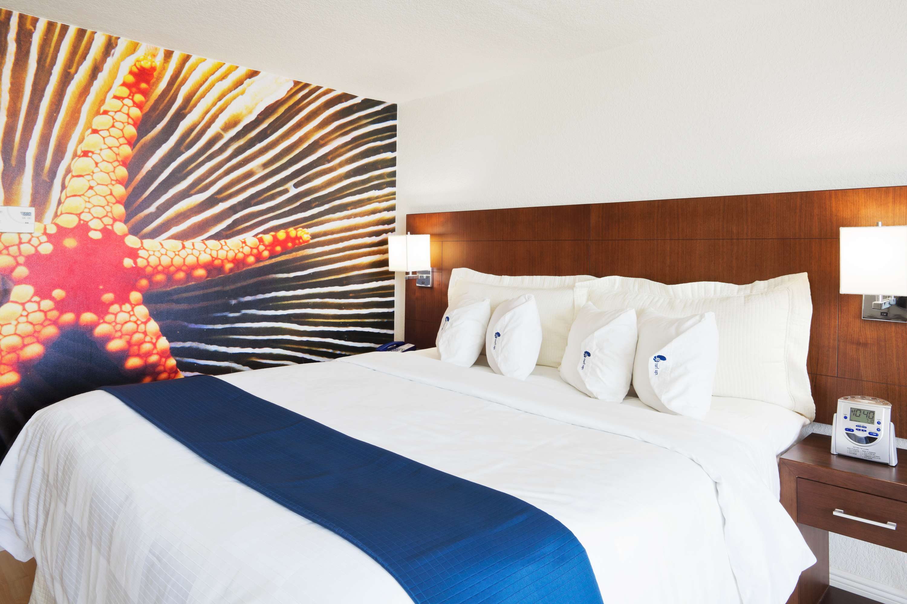 HOTEL INDIGO MIAMI DADELAND-43