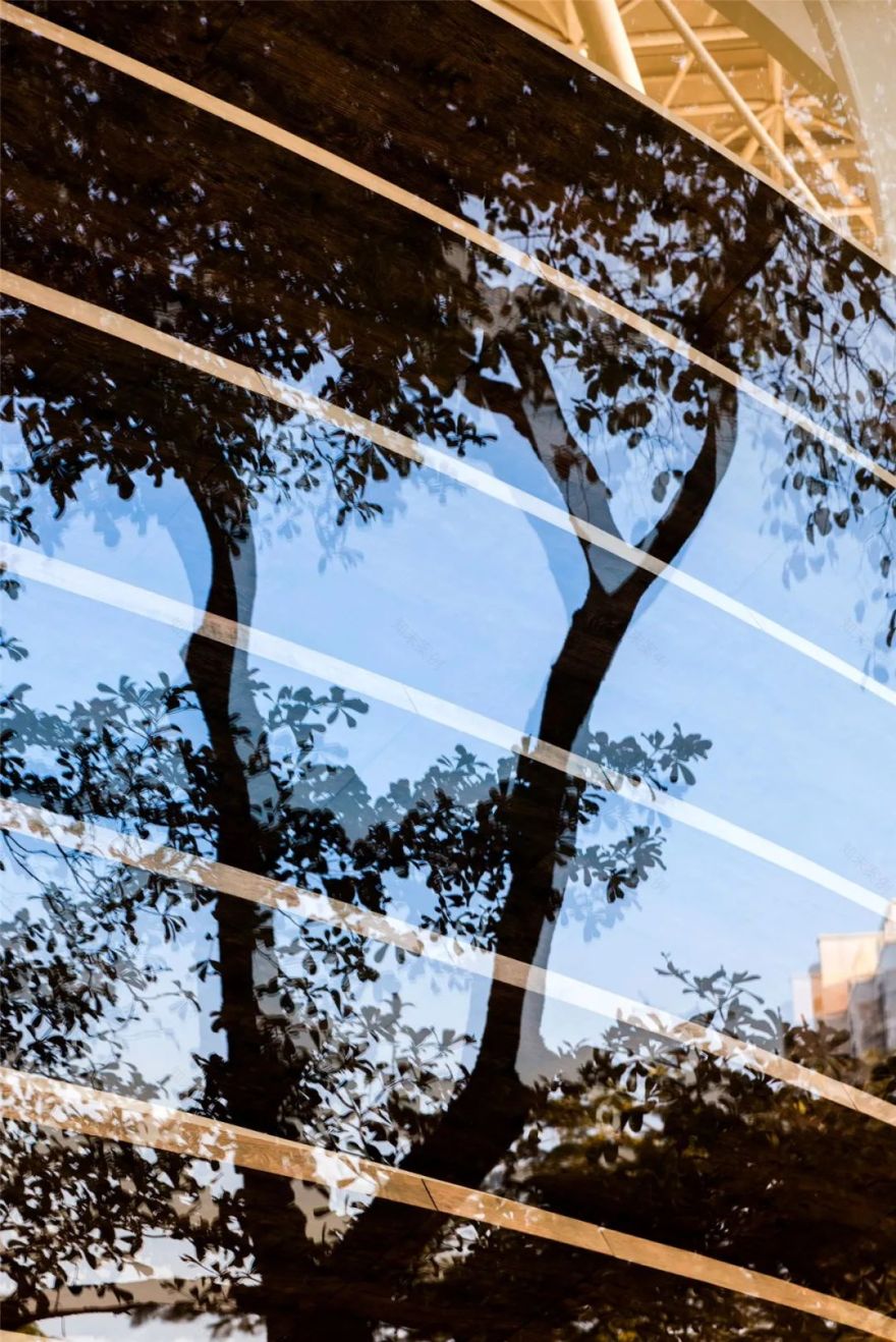 巢·艺术中心丨中国深圳丨穆氏建筑设计(上海)有限公司-22