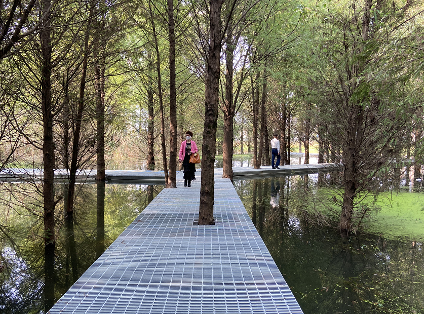 芜湖江东水生态海绵公园丨中国芜湖丨上海市政总院-18