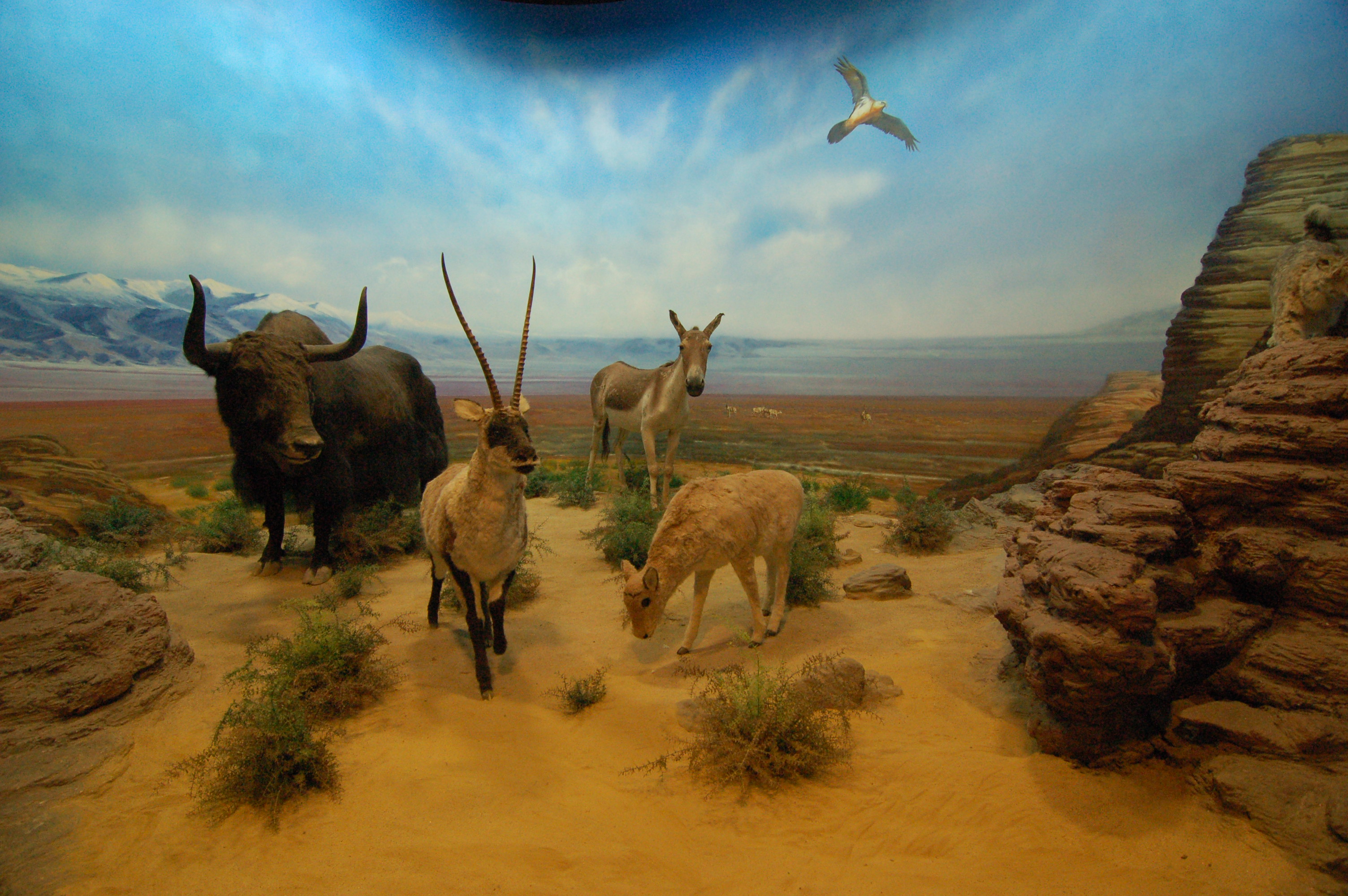 博物馆城市规划馆-2-22