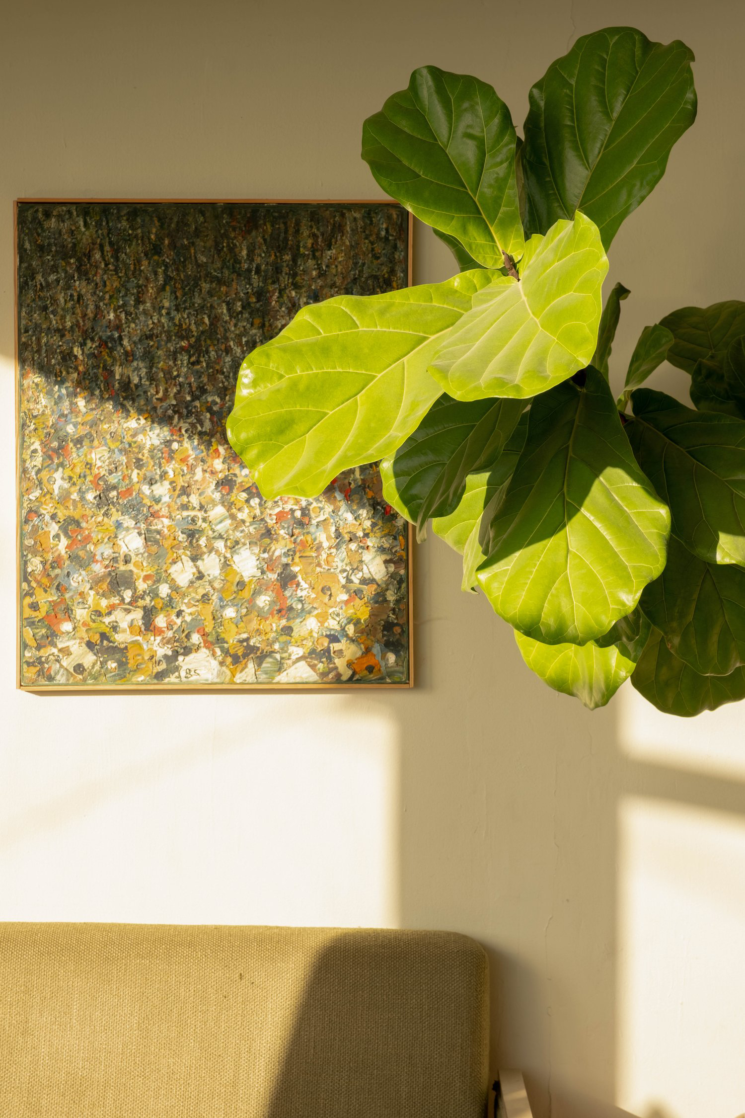 乡村自建房室内丨美国洛杉矶丨鲁道夫·辛德勒-22