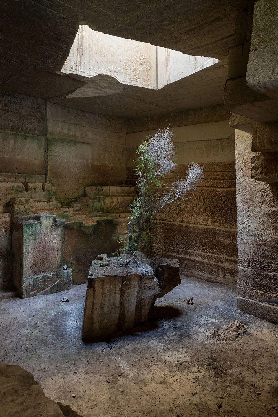 大地之居 · 西班牙 Ca’n Terra 度假屋丨Ensamble Studio-25