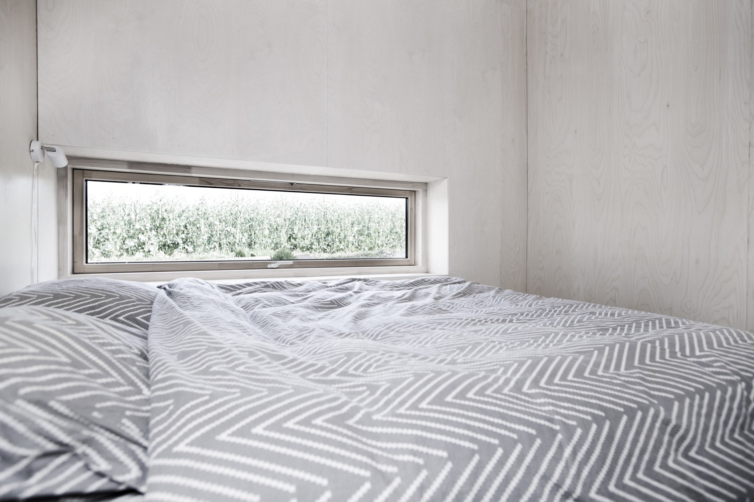 The Green House  Sigurd Larsen-22