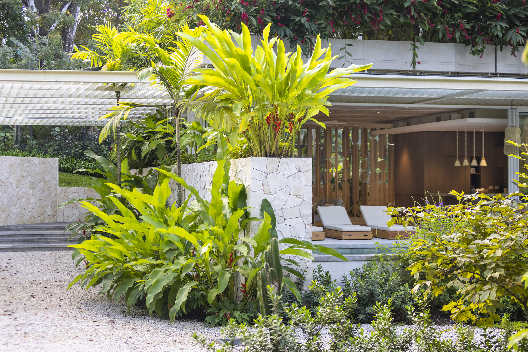 糖屋丨哥斯达黎加丨Studio Saxe-13