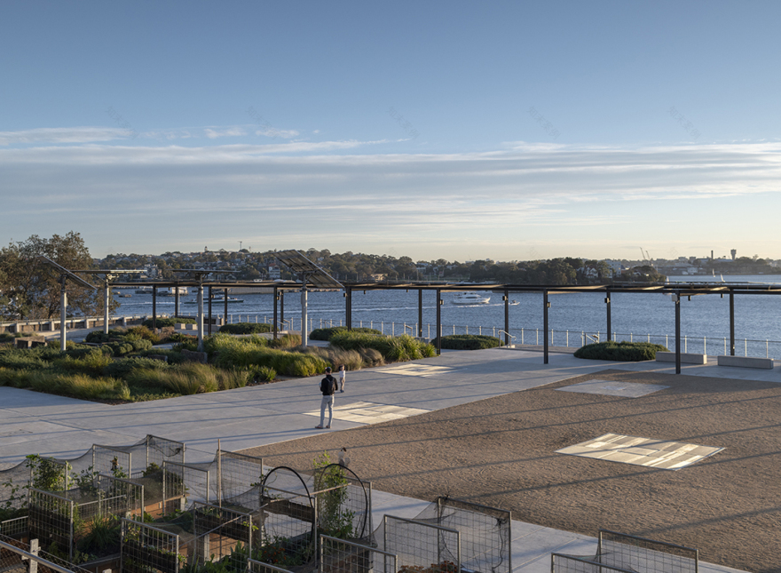 悉尼港口工业遗址变身绿色公共空间——"煤炭装载场"公园-4