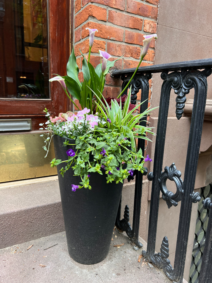 Brooklyn Heights reno-17