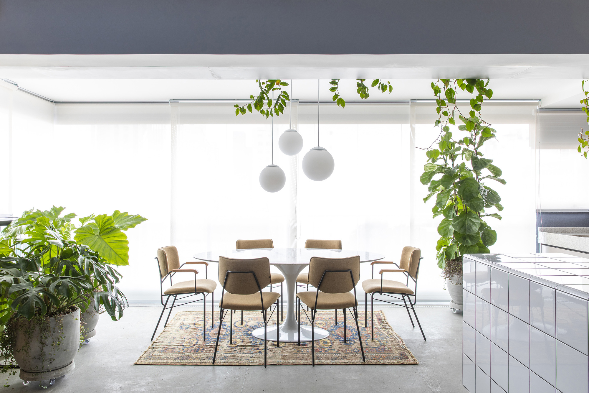 旅客订座记录公寓丨巴西圣保罗丨Metamoorfose Studio-19