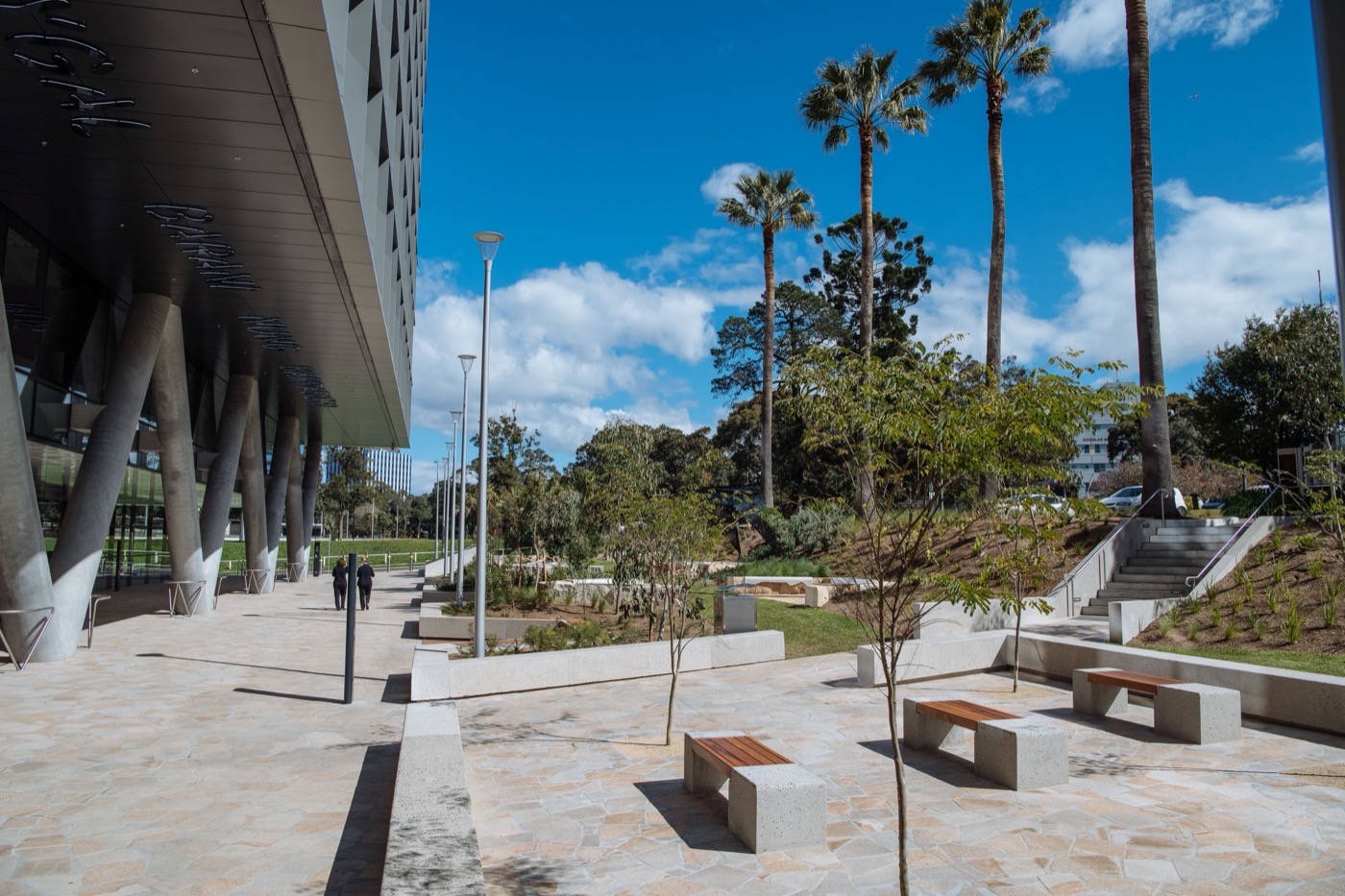 悉尼 St Leonards 健康组织迁址丨澳大利亚悉尼丨Arcadia Landscape Architecture-36