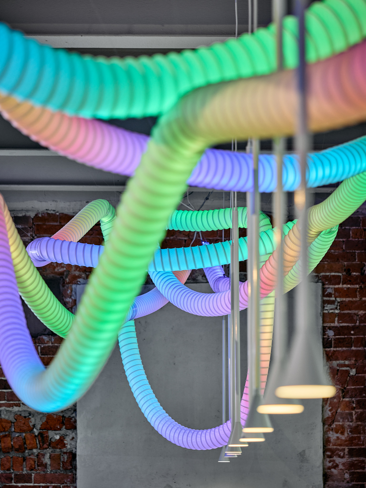 萨柳特，米亚斯尼茨卡娅美食市场！丨俄罗斯莫斯科丨Muravina Anna,Sazonova Elena-16