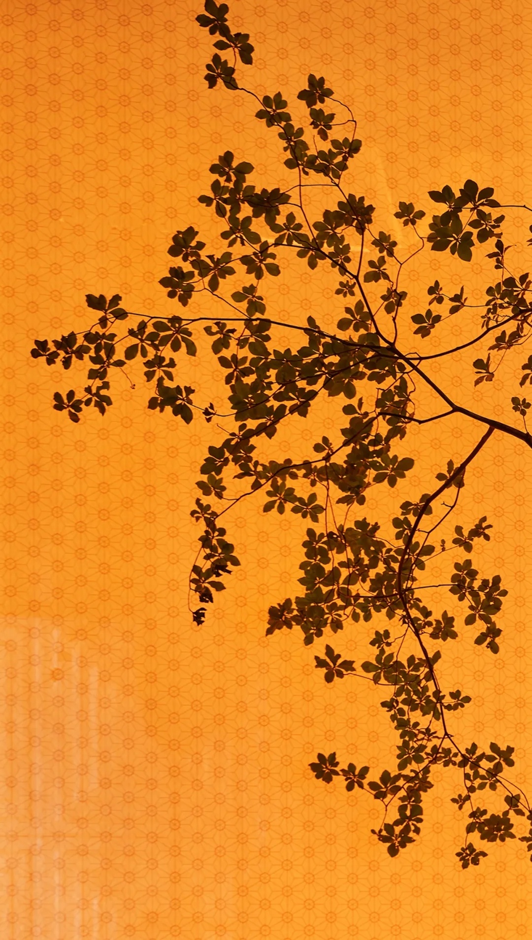 鸣辉正本料理宁波东部店丨中国宁波丨李一设计师事务所-41