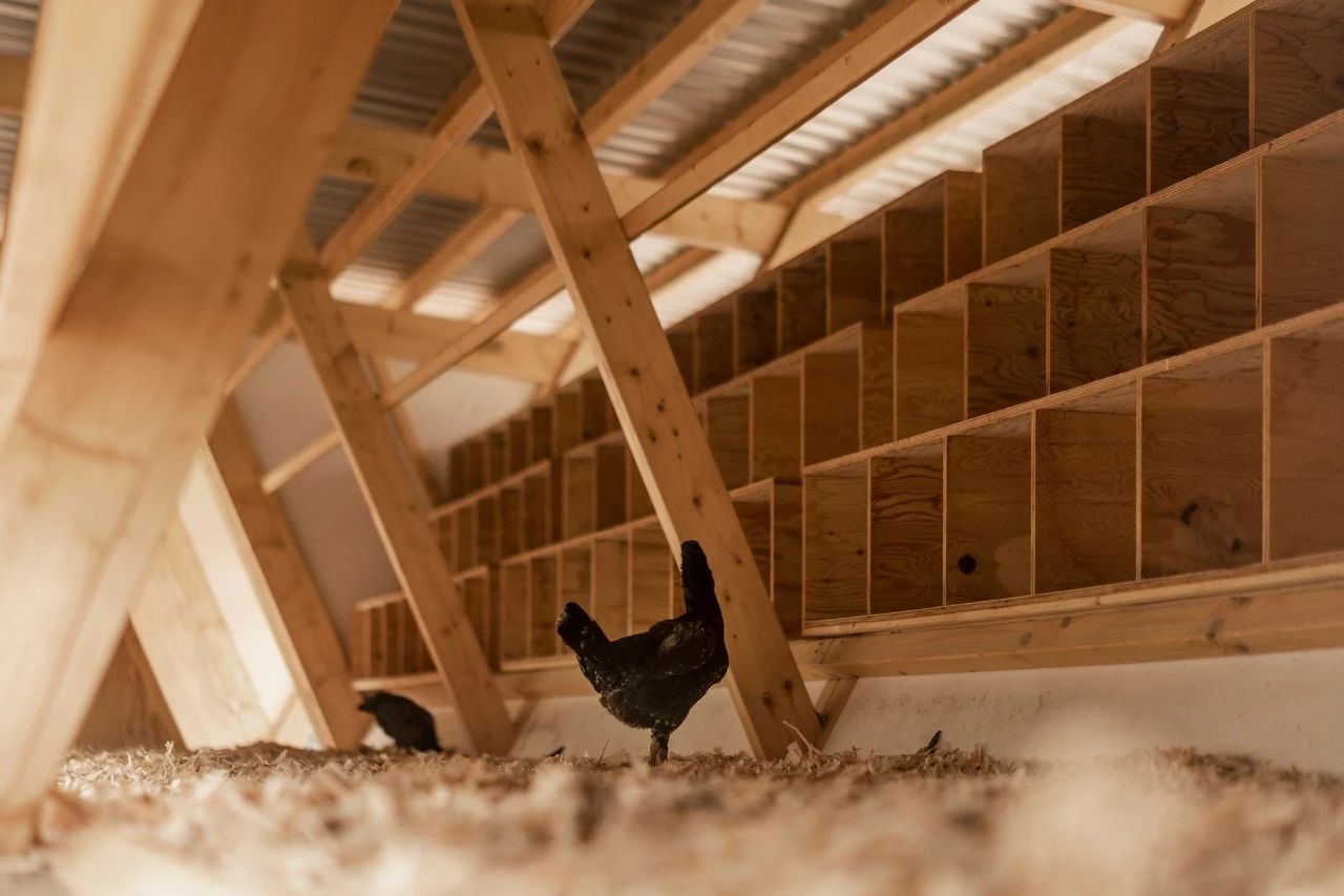 鸡舍丨土耳其埃尔津詹丨SO? Architecture and Ideas-22