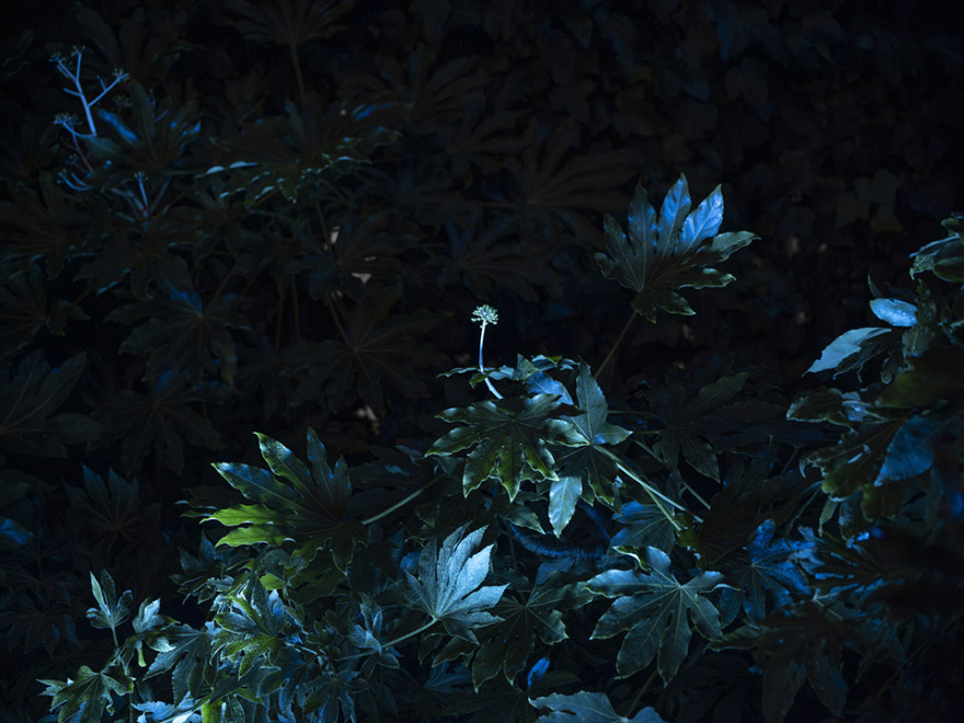 米兰Flora Alpina花园丨意大利米兰丨BUREAU-59