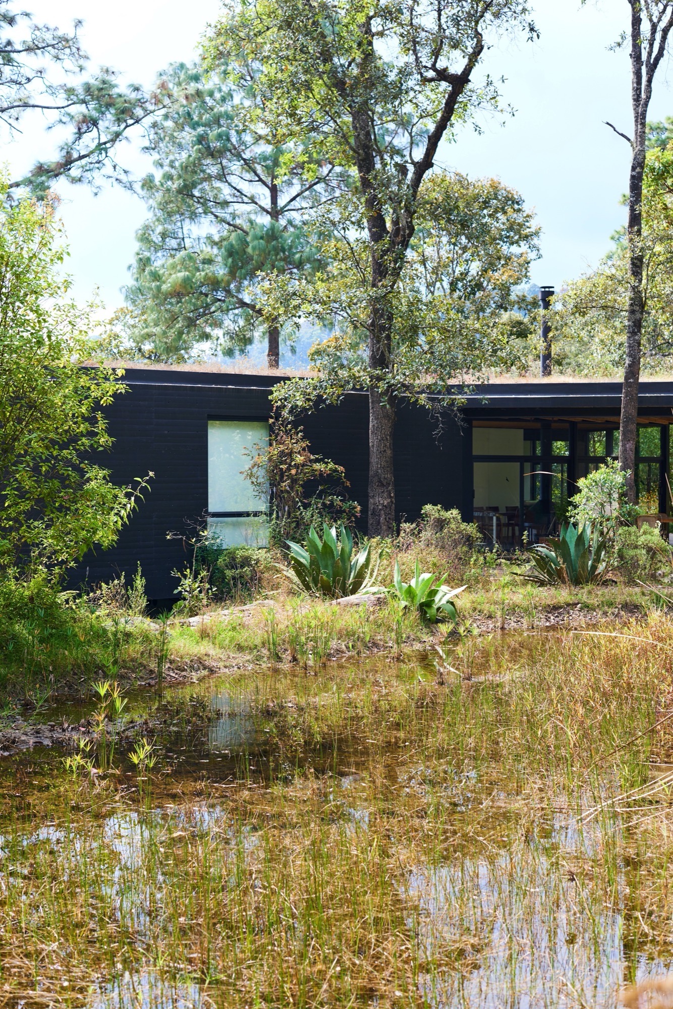 石线绿意 · 墨西哥 Reserva Peñitas 园林景观设计丨Estudio Ome-0