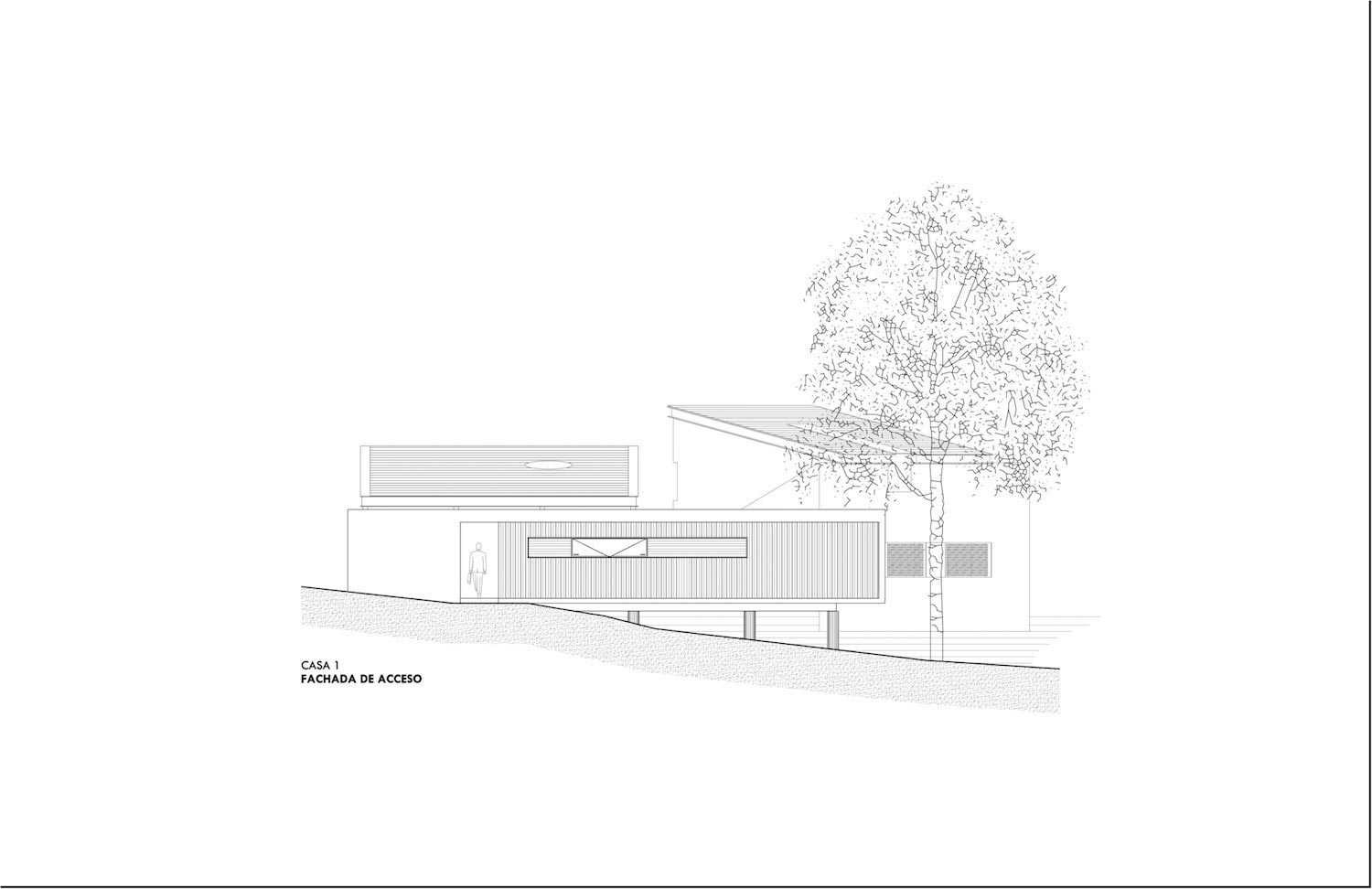 墨西哥森林中的五栋梦幻住宅-32