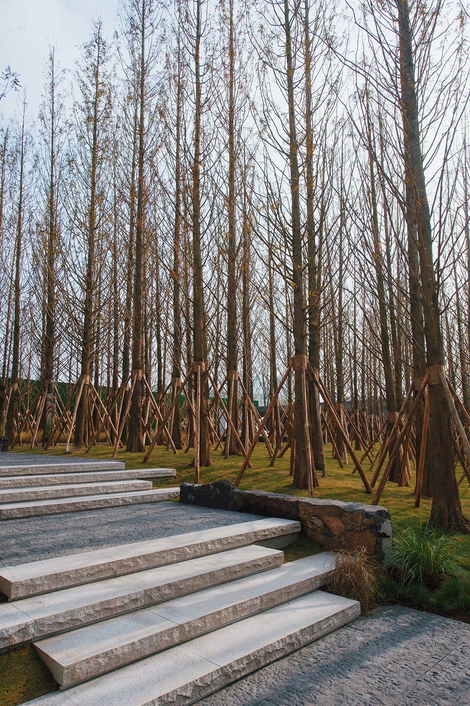 “重庆森林”  | 重庆万科森林公园-45