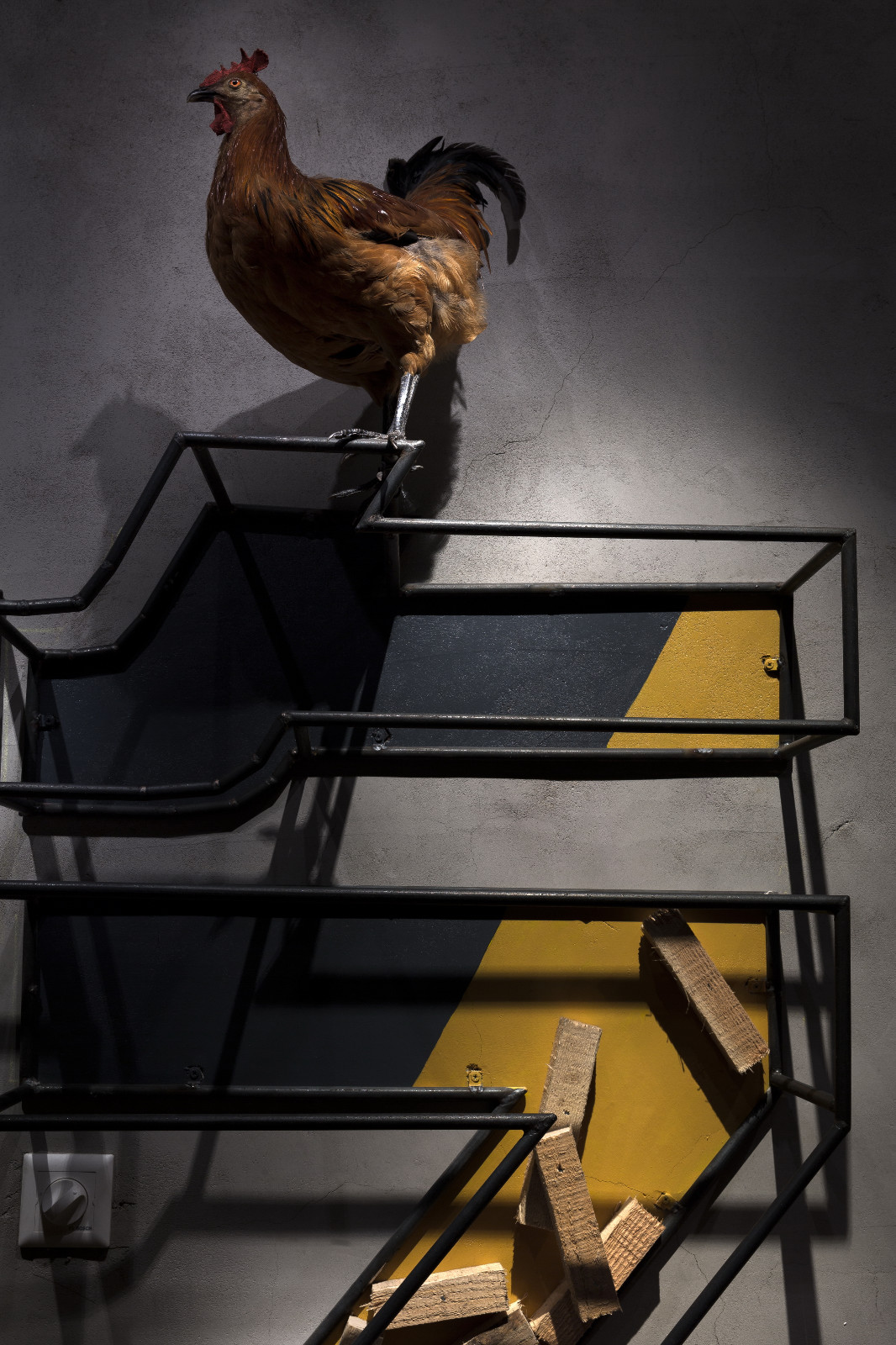 多伦多海鲜自助餐系列 · 苏州圆融店-21