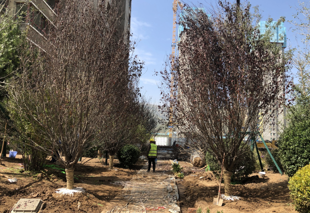 西宁万科城的美好生活场景，城市绿洲为西宁而定制 | 西宁·万科城一期-115