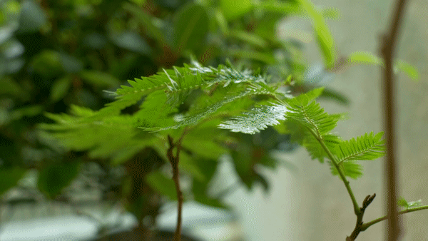 梅住宅丨中国香港丨Alexis Dupont Interiors-8