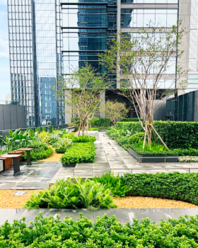 南山中集太子湾大成广场园林景观工程丨中国深圳