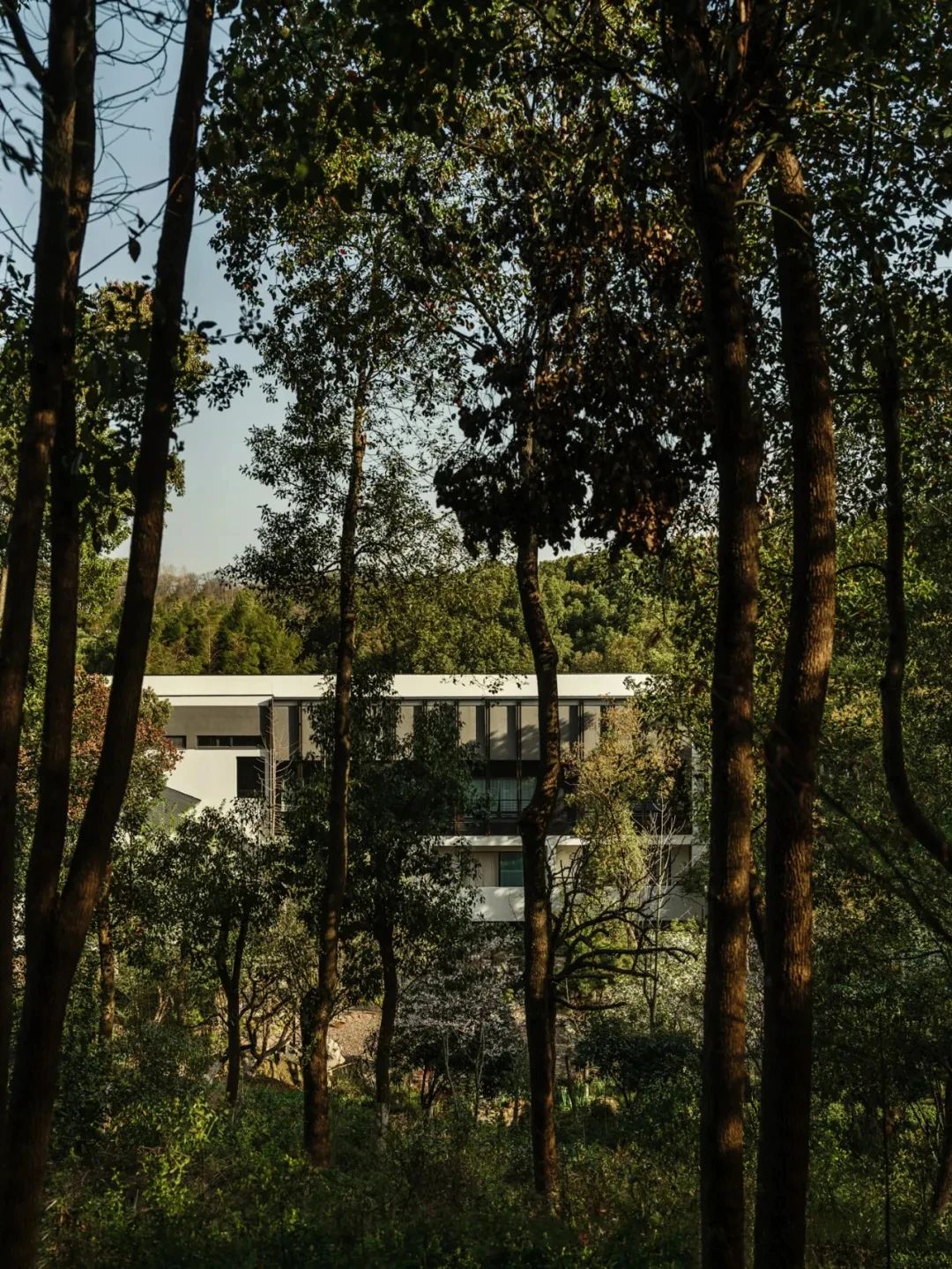 春山在望丨中国江苏丨尚壹扬设计-25