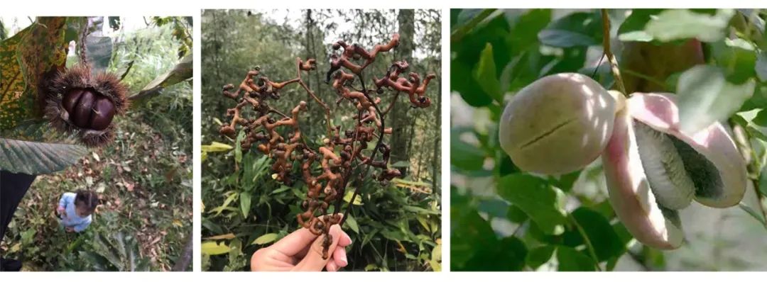 野奢之旅 | 囿于市井，而向山海-83