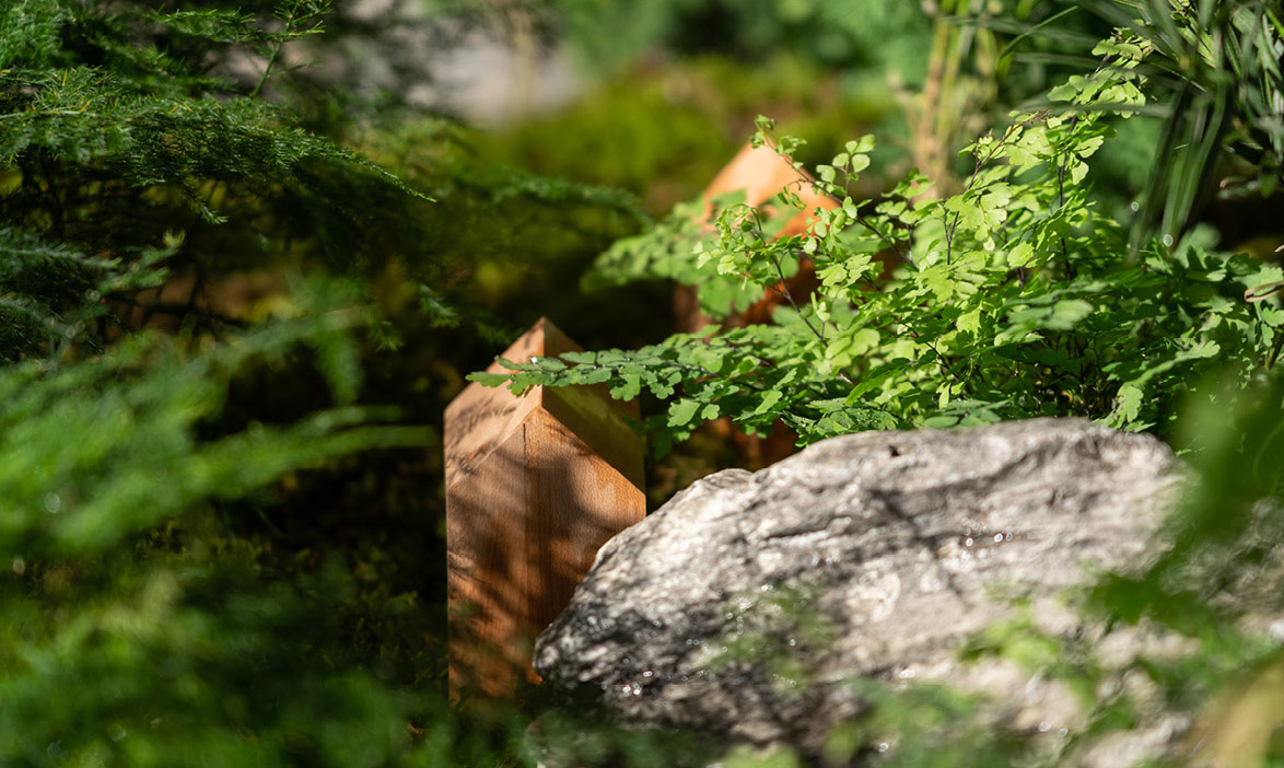 “绿梦” · 上海城市空间艺术季丨中国上海丨THLA天华景观-65