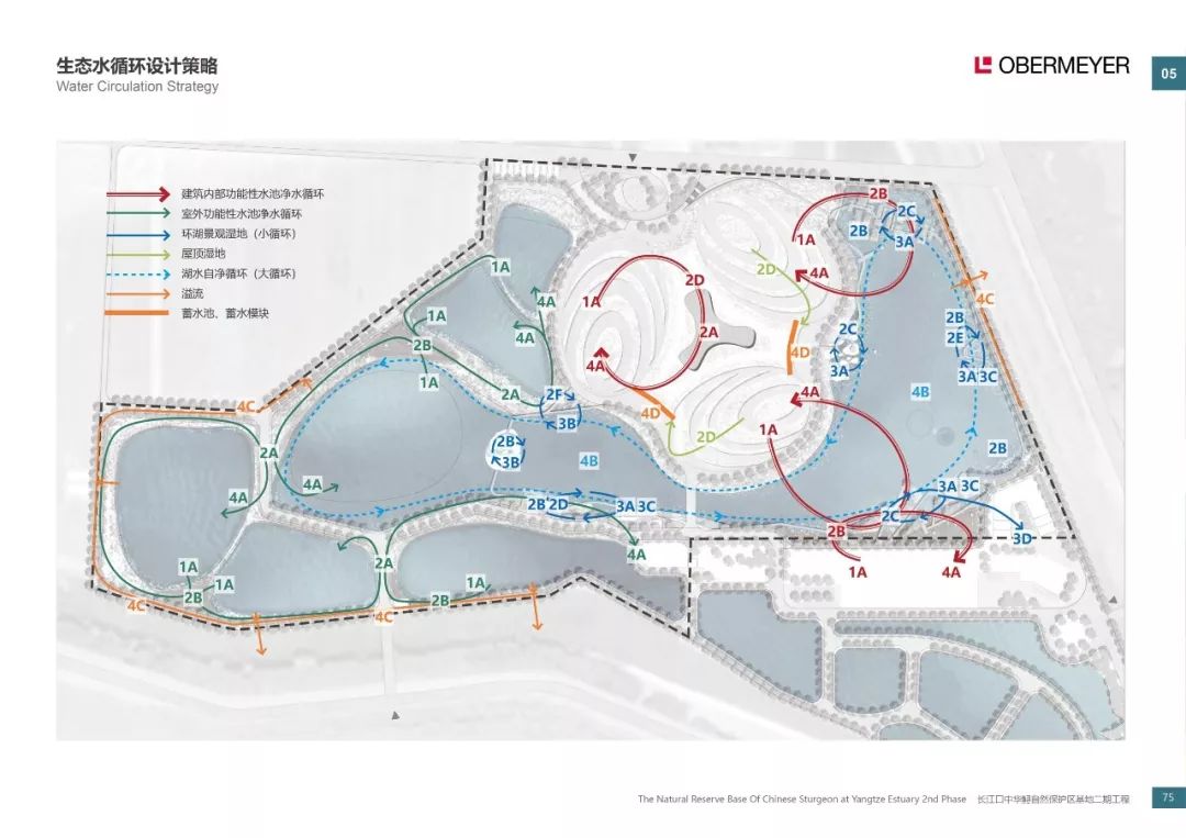 长江口中华鲟自然保护区 欧博迈亚打造世界级生态岛地标-27