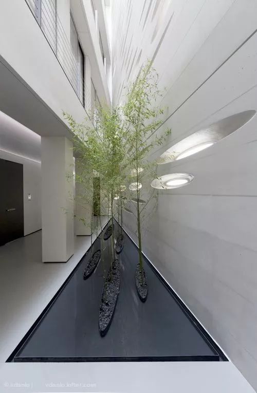 等您到来的专属庭院设计-22