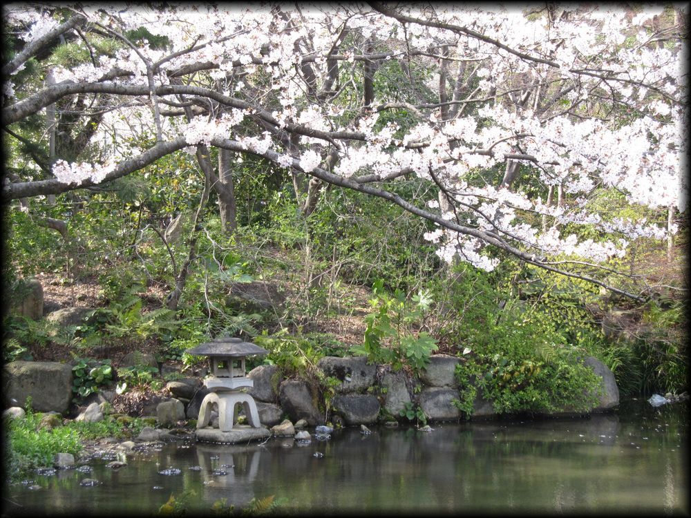関西学院大学の日本庭園-31