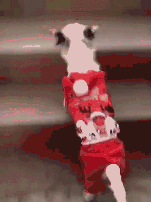 温暖 ENJOY | 从流浪狗到办公室宠儿的感人故事-31