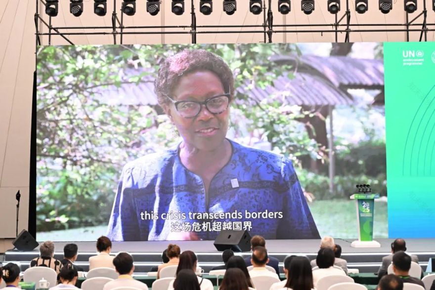 方厅水院迎“首会”!-13