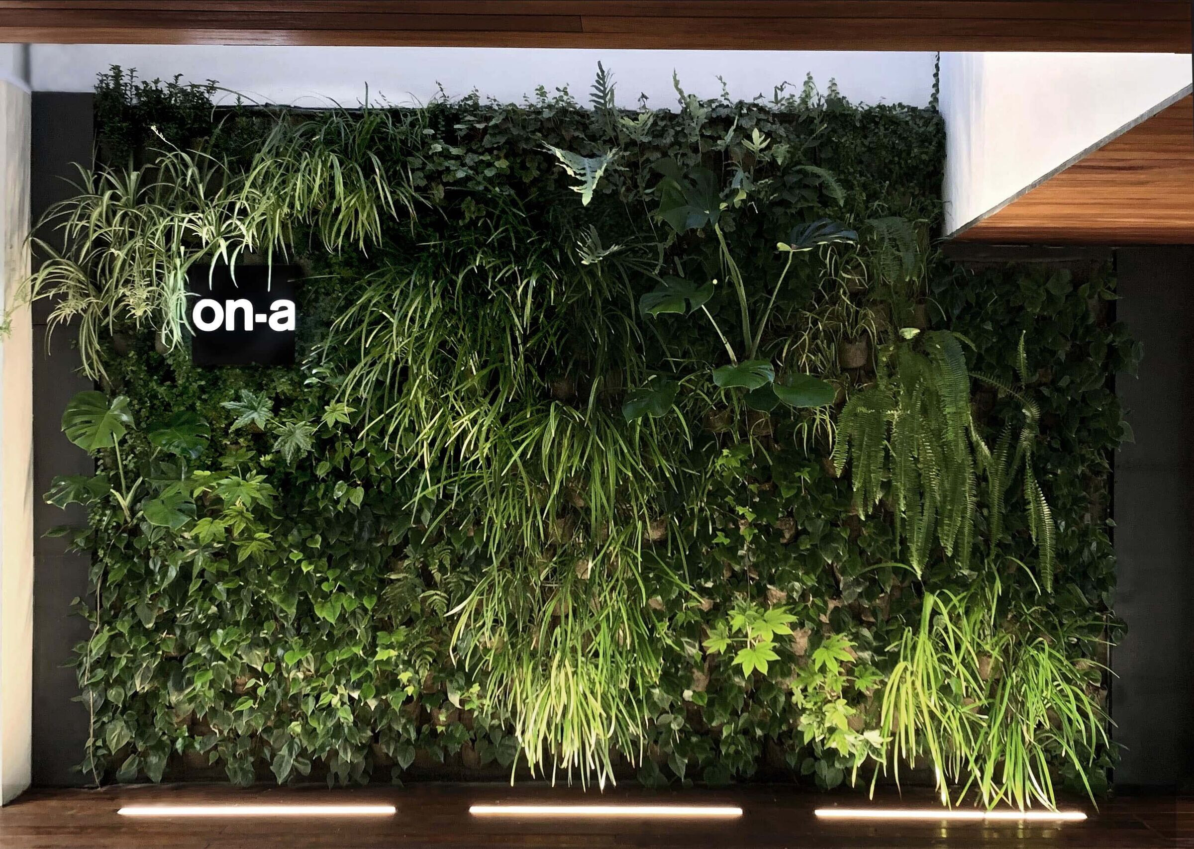 巴塞罗那 ONA 总部 · 数字化创新实验室丨西班牙巴塞罗那丨ONA,Xavier Badia-19