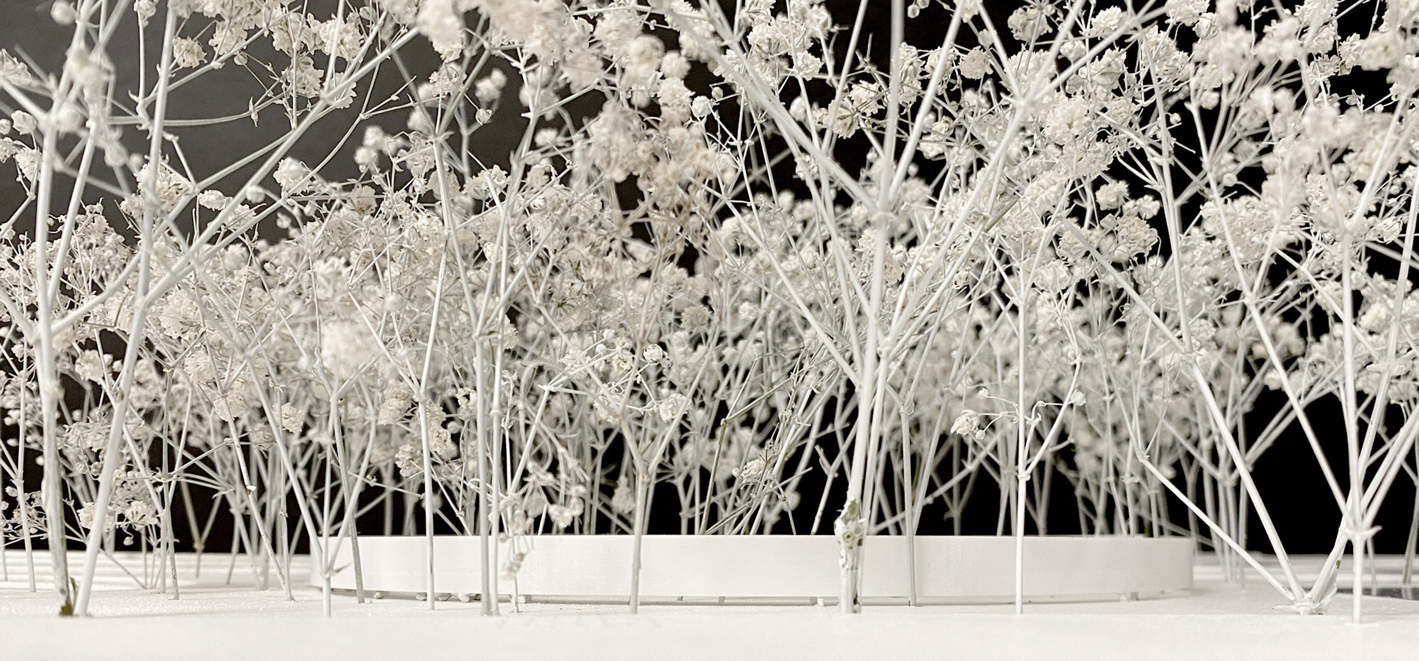 波兰军队士兵公墓丨ngo+pasierbinski-18