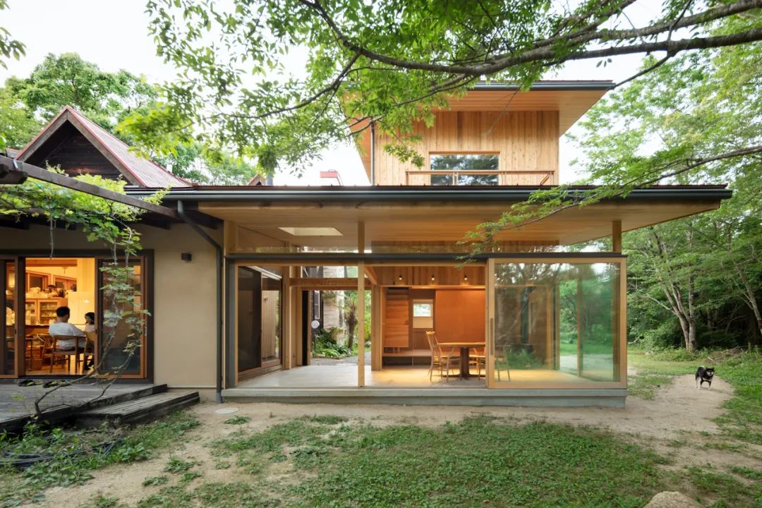 冈山森林中的迷你小屋-8