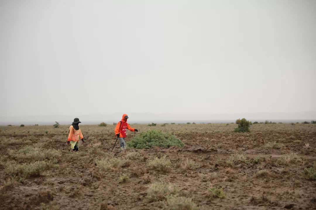 申远戈 5 | 百人戈壁挑战，探索生命力量的设计之旅-83