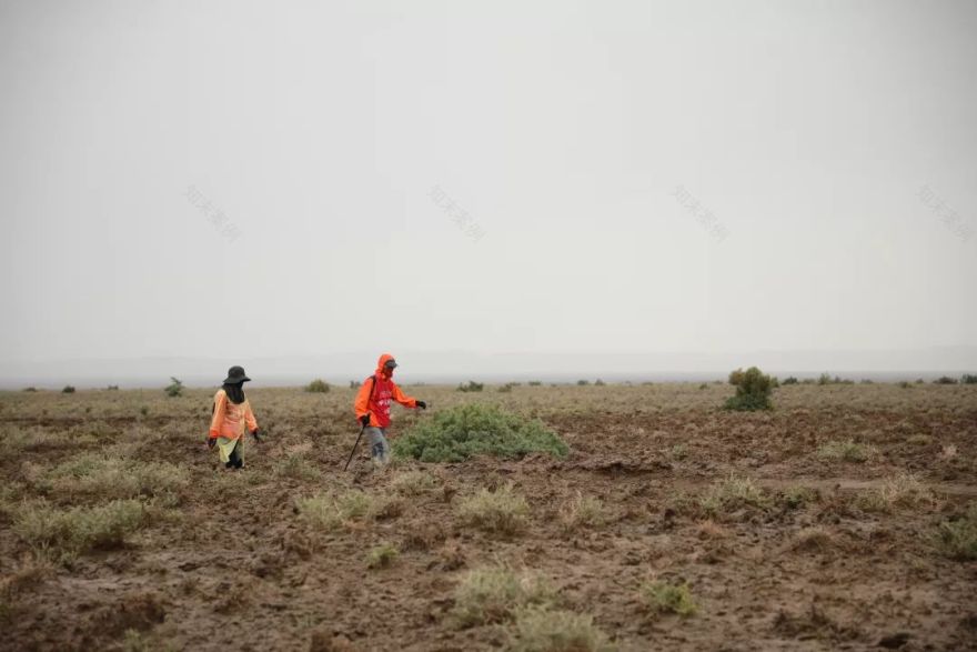 申远戈 5 | 百人戈壁挑战,探索生命力量的设计之旅-83